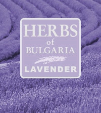 A-Lavender-herbs-of-bulgaria-logo.jpg