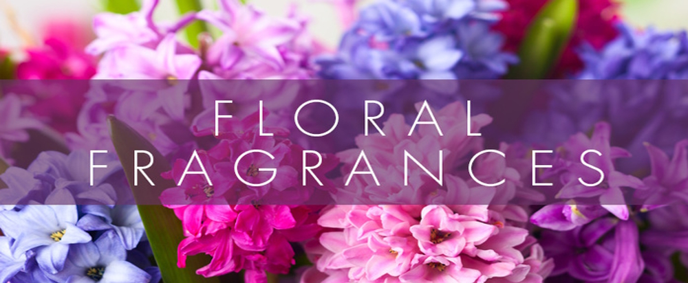 Wholesale Fragrance Oils Distributors